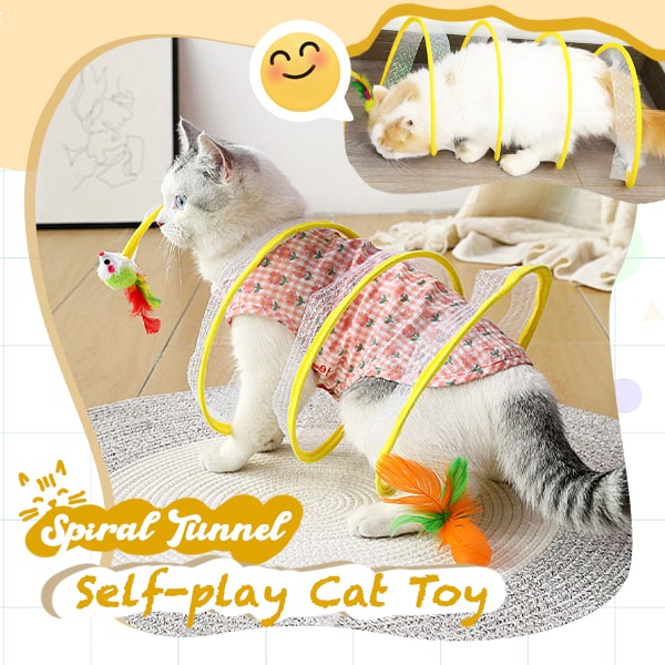 Self-play Cat Hunting Spiral Tunnel Fridysee Toy